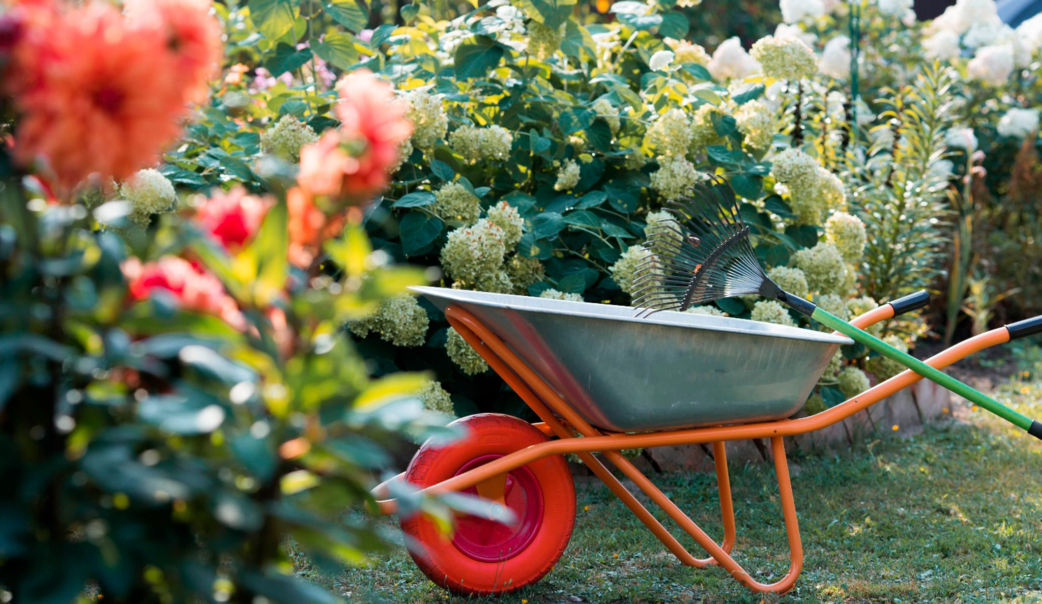 Preparar o seu jardim para a chegada da primavera