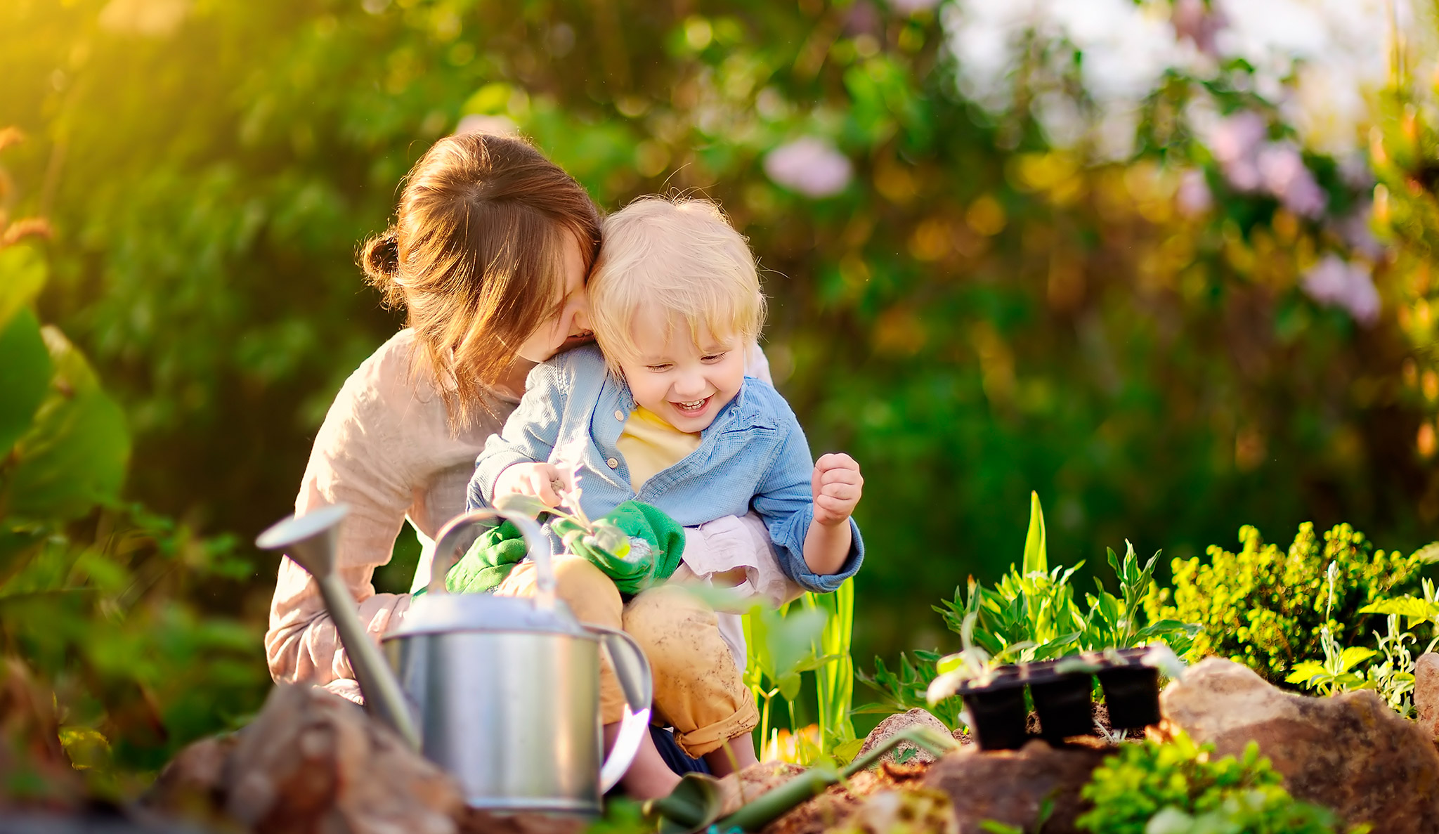 10 tipos de plantas para o Dia da Mãe conforme a personalidade