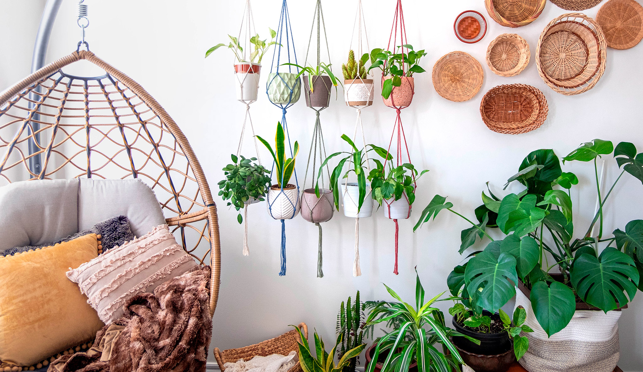 Plant styling: o que é e como aplicar em sua casa?