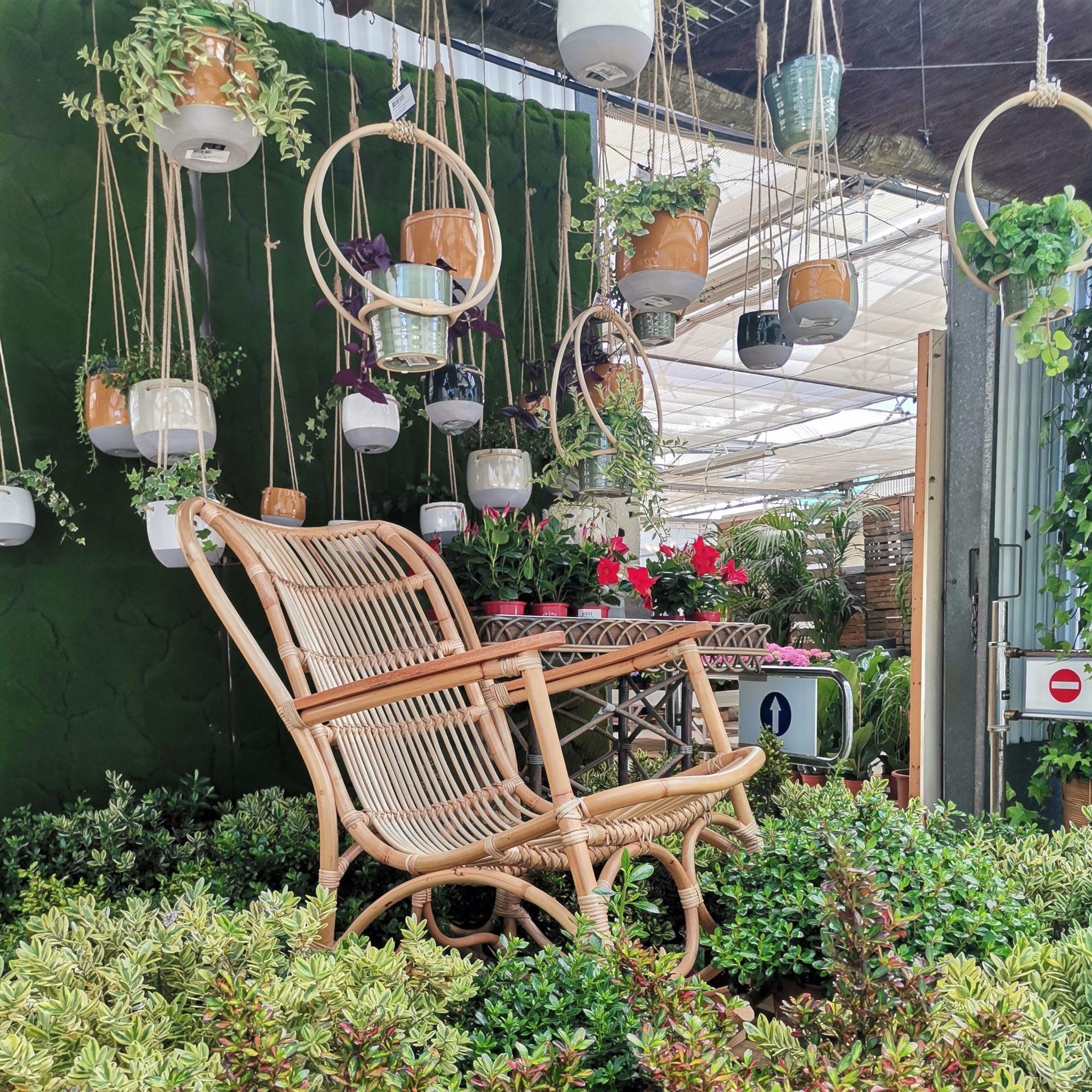 Artigos de Decoração 1 vasos suspensos viplant scaled 1