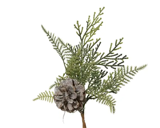 Pick de Pinheiro | Pinha