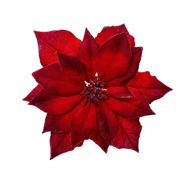 Clip Poinsettia | Bordeaux