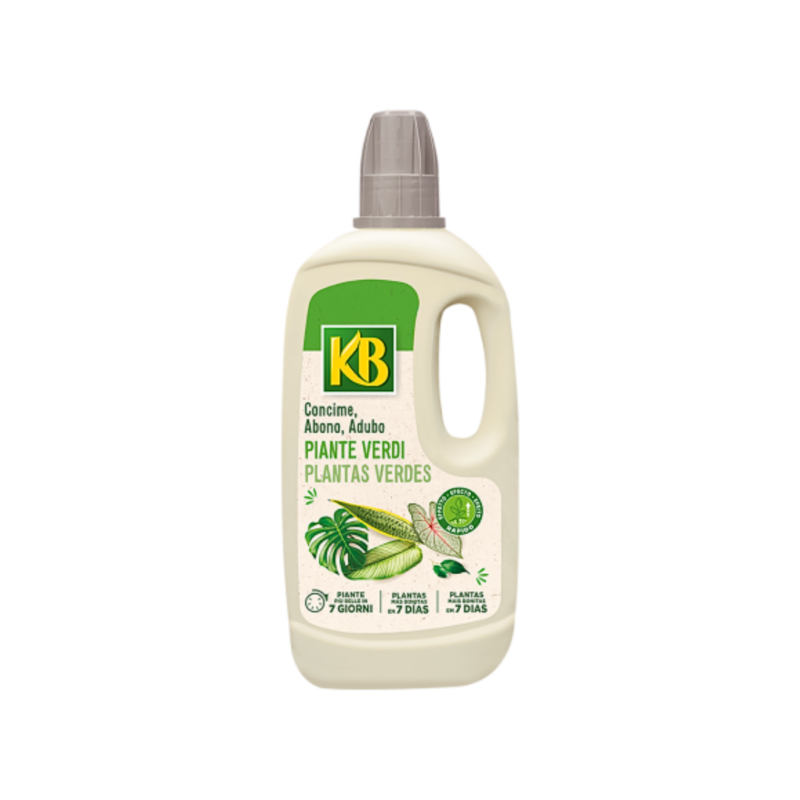 KB Plantas verdes