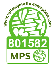 MPS global logo 004