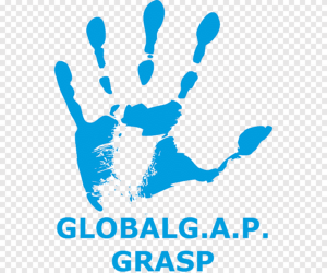 MPS grasp logo